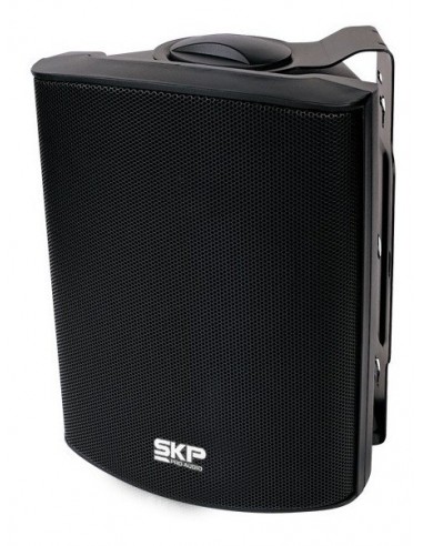 Set x2 Bafles SKP SK-106T c/Trafo Negros 100W | 101dB