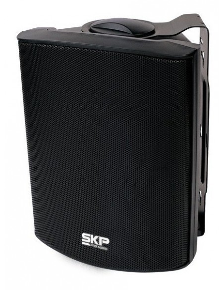 Set x2 Bafles SKP SK-106T c/Trafo Negros 100W | 101dB