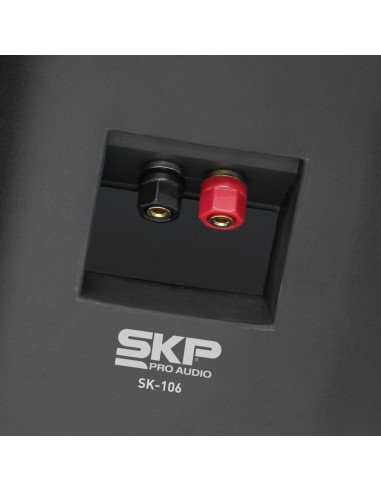Set x2 Bafles SKP SK-108 Instalación Comercial 125W | 101dB