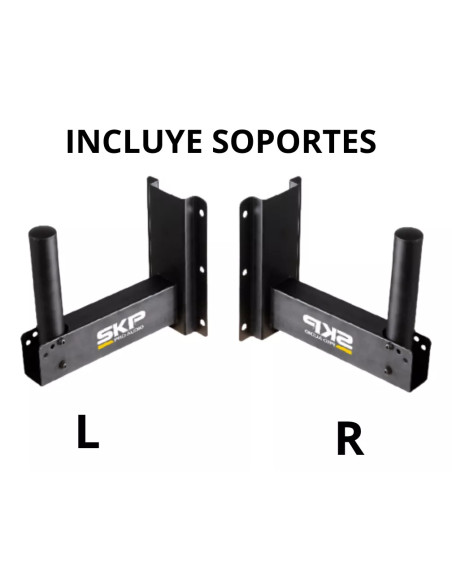 Parlante Activo SKP SK-208PX 350W PA