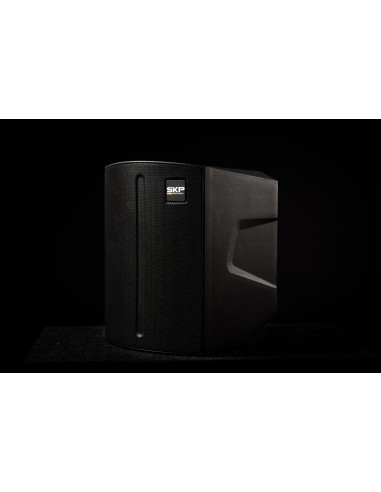 Bafle Portátil SKP Q1 PRO con Batería Bluetooth | 101dB