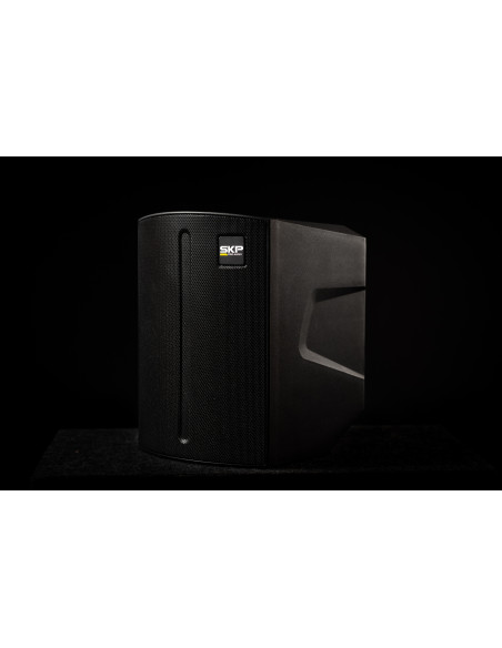 Bafle Portátil SKP Q1 PRO con Batería Bluetooth | 101dB