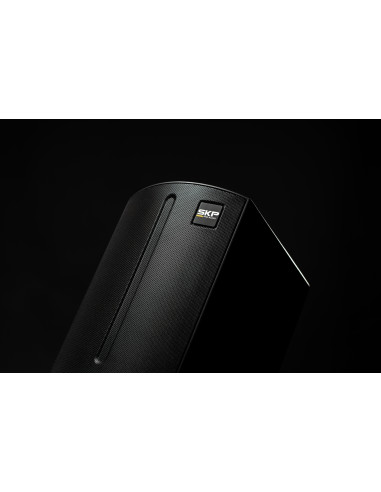 Bafle Portátil SKP Q1 PRO con Batería Bluetooth | 101dB