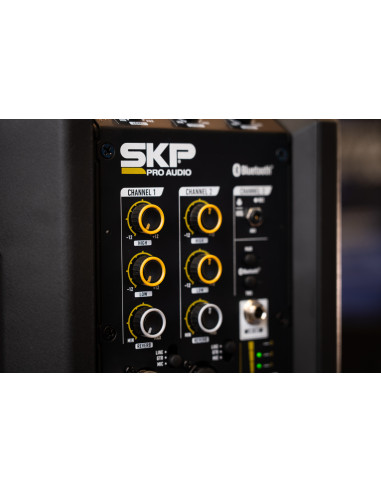 Bafle Portátil SKP Q1 PRO con Batería Bluetooth | 101dB