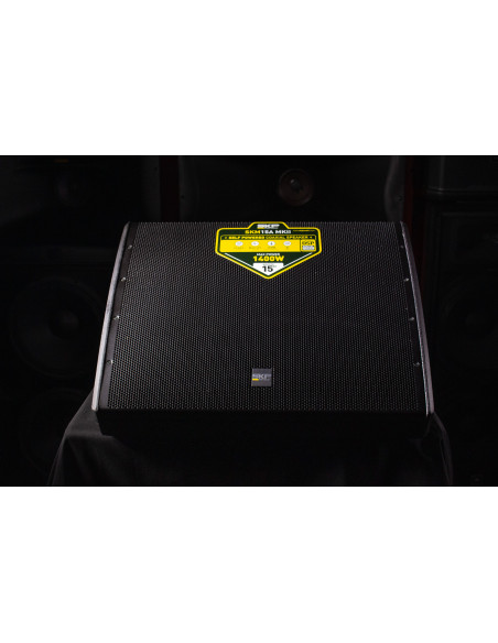 Bafle Monitor Escenario SKP SKM 15A MKII 350W RMS | 101dB