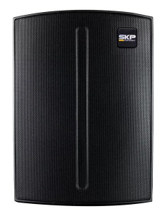 Bafle Portátil SKP Q1 PRO con Batería Bluetooth | 101dB