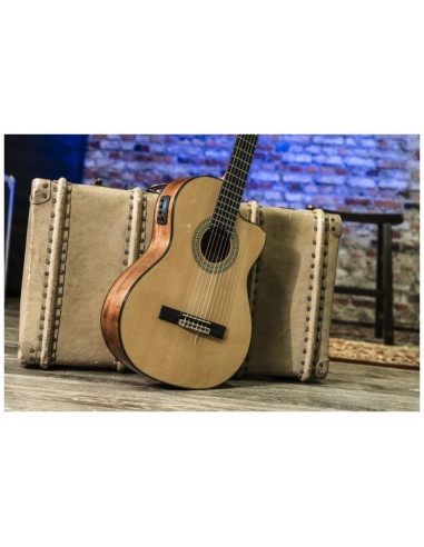 Conseguí tu Peavey Delta Woods CNS-CE | Guitarra Clásica Electroacústica | 101DB