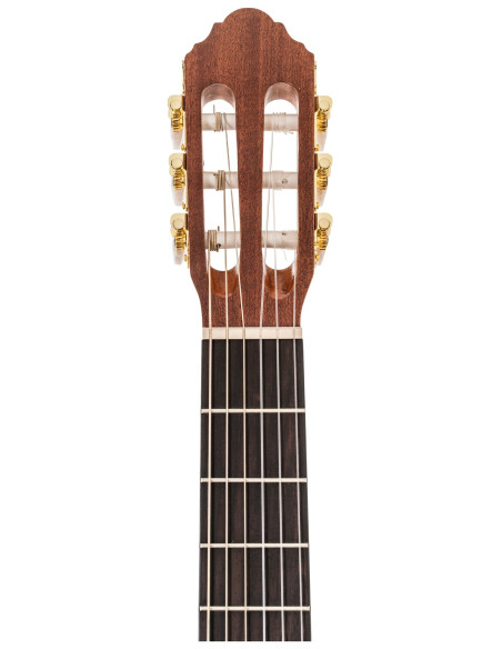 Conseguí tu Peavey Delta Woods CNS-CE | Guitarra Clásica Electroacústica | 101DB