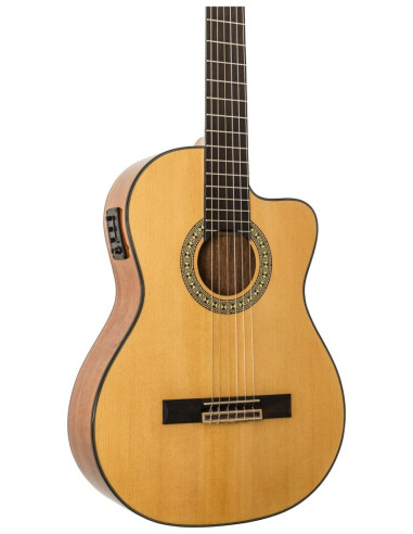 Conseguí tu Peavey Delta Woods CNS-CE | Guitarra Clásica Electroacústica | 101DB