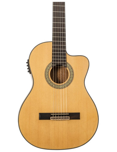 Conseguí tu Peavey Delta Woods CNS-CE | Guitarra Clásica Electroacústica | 101DB