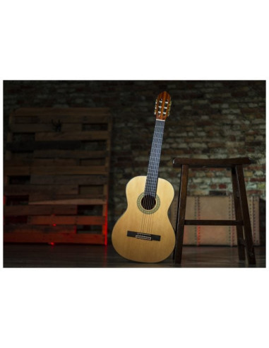 Conseguí tu Peavey Delta Woods CNS-1 | Guitarra Clásica Nylon | 101DB