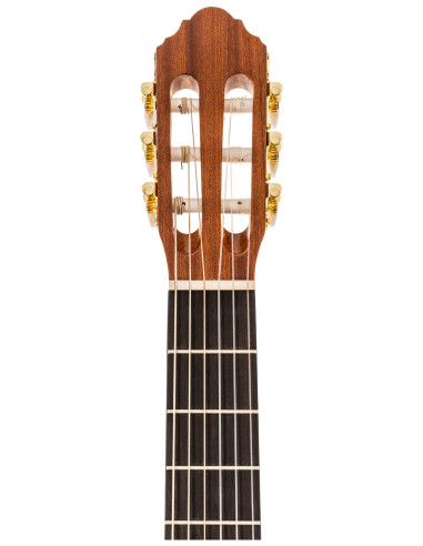 Conseguí tu Peavey Delta Woods CNS-1 | Guitarra Clásica Nylon | 101DB