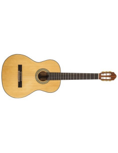 Conseguí tu Peavey Delta Woods CNS-1 | Guitarra Clásica Nylon | 101DB 2