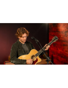 Micrófono Peavey PVi 100 con Soporte y Funda | Cable 1/4" | 101dB 2