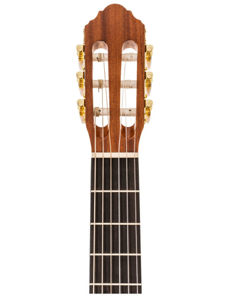 Guitarra Acústica Peavey DW CNS-CE Cuerdas de Nailon