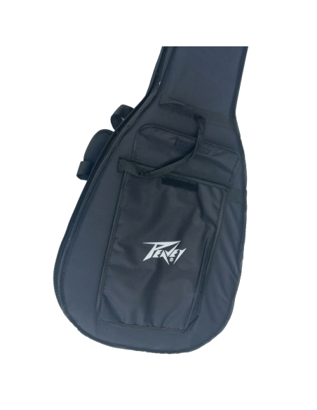 Guitarra Electroacústica Peavey Delta Woods DW-2 CE |101dB