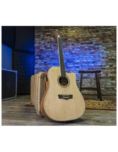 Peavey Delta Woods DW-2 CE | Guitarra Electroacústica Profesional | 101DB
