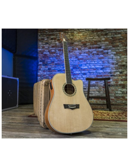 Peavey Delta Woods DW-2 CE | Guitarra Electroacústica Profesional | 101DB
