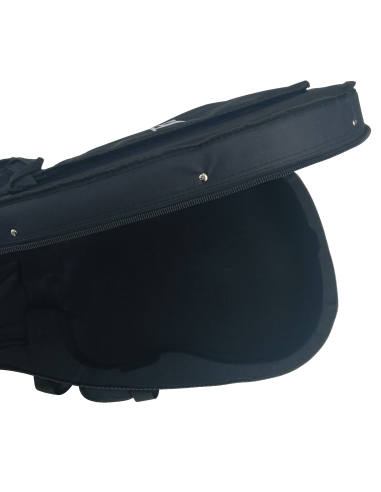 Guitarra Electroacústica Peavey Delta Woods DW-2 CE |101dB