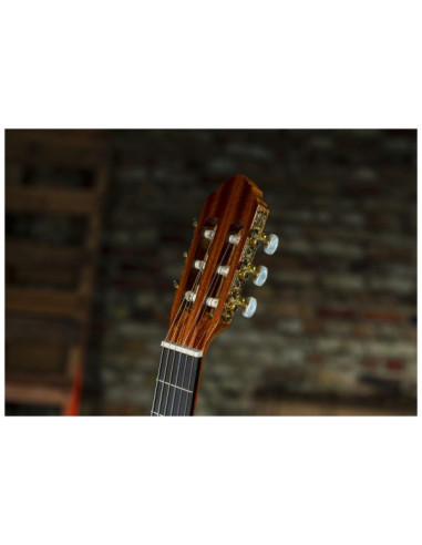 Conseguí tu Peavey Delta Woods CNS-1 | Guitarra Clásica Nylon | 101DB