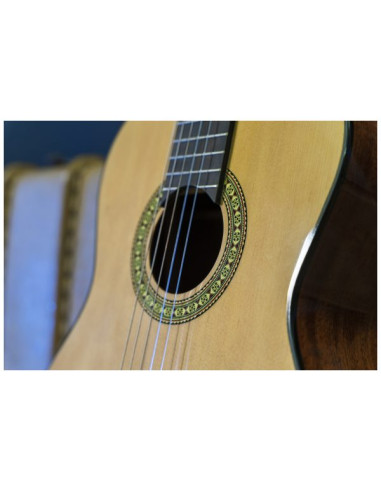 Conseguí tu Peavey Delta Woods CNS-1 | Guitarra Clásica Nylon | 101DB