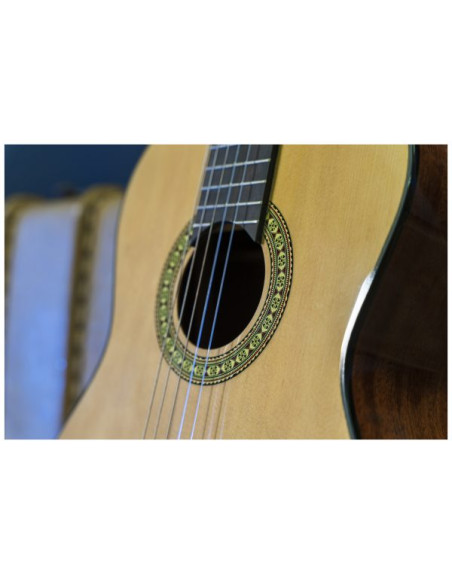 Conseguí tu Peavey Delta Woods CNS-1 | Guitarra Clásica Nylon | 101DB