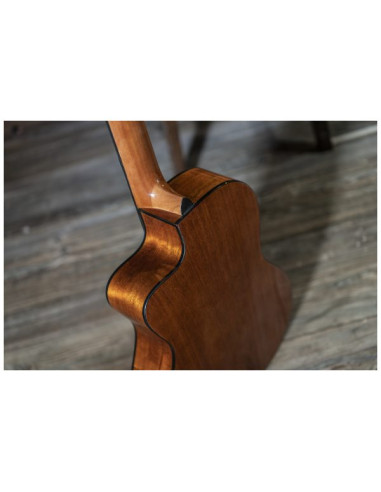 Conseguí tu Peavey Delta Woods CNS-CE | Guitarra Clásica Electroacústica | 101DB