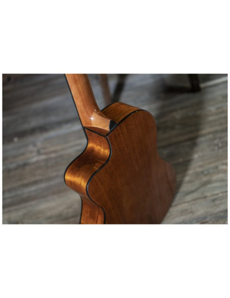 Conseguí tu Peavey Delta Woods CNS-CE | Guitarra Clásica Electroacústica | 101DB