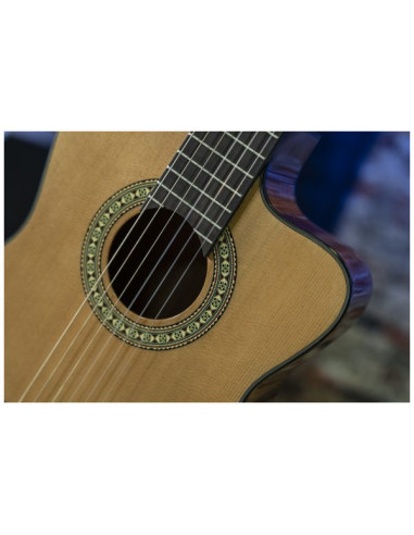 Conseguí tu Peavey Delta Woods CNS-CE | Guitarra Clásica Electroacústica | 101DB