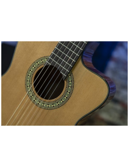 Conseguí tu Peavey Delta Woods CNS-CE | Guitarra Clásica Electroacústica | 101DB