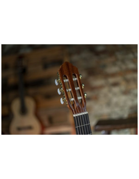 Conseguí tu Peavey Delta Woods CNS-CE | Guitarra Clásica Electroacústica | 101DB