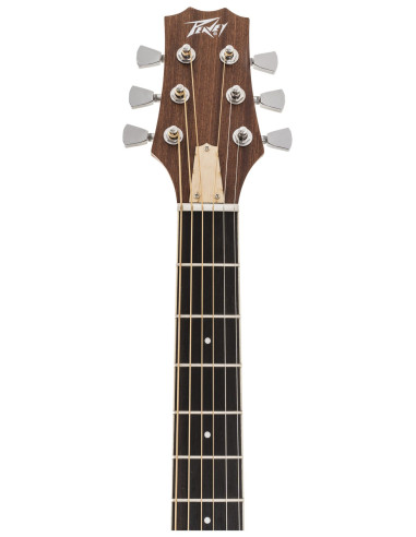 Peavey Delta Woods DW-2 CE | Guitarra Electroacústica Profesional | 101DB