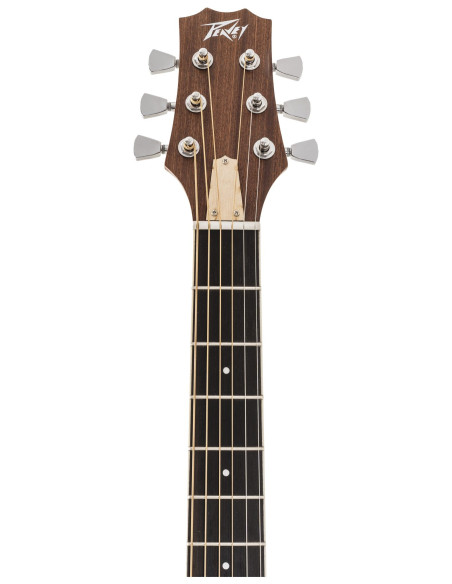 Peavey Delta Woods DW-2 CE | Guitarra Electroacústica Profesional | 101DB