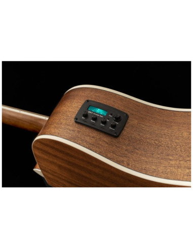 Peavey Delta Woods DW-2 CE | Guitarra Electroacústica Profesional | 101DB