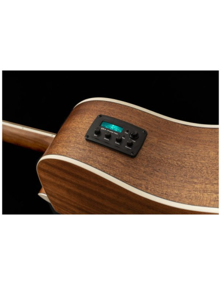 Peavey Delta Woods DW-2 CE | Guitarra Electroacústica Profesional | 101DB