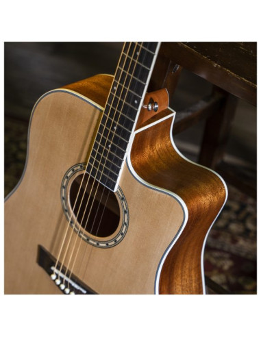 Guitarra Electroacústica Peavey Delta Woods DW-2 CE |101dB