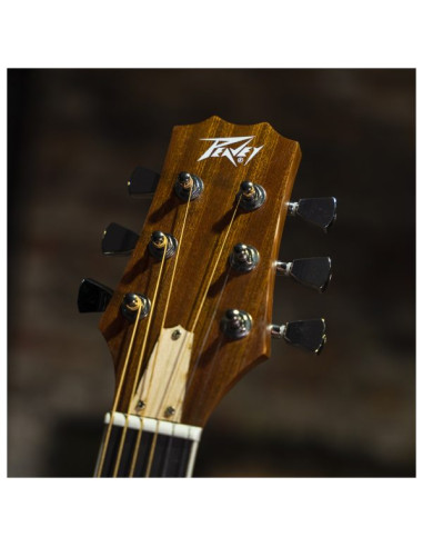 Guitarra Electroacústica Peavey Delta Woods DW-2 CE |101dB