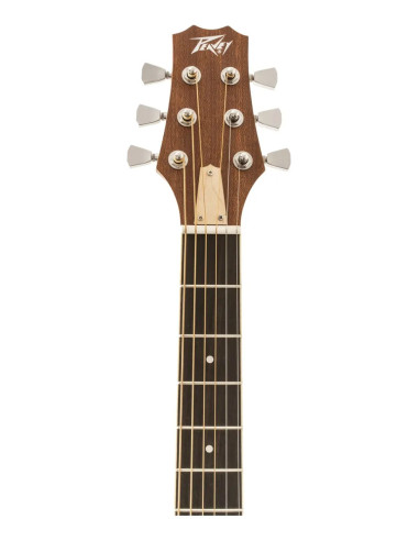 Peavey Delta Woods DW-1 | Guitarra Acústica Tono Premium | 101dB