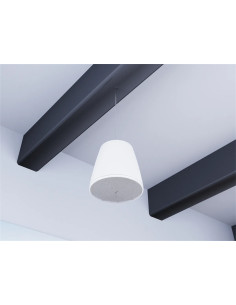 Bose DesignMax DM10P-SUB Blanco | Subwoofer Colgante 10″ | 101dB 2