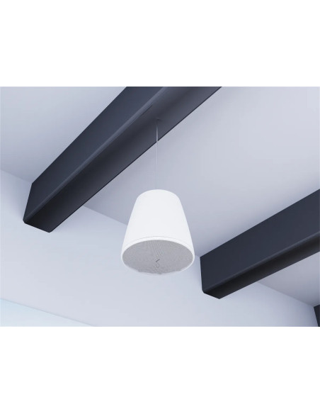 Bose DesignMax DM10P-SUB Blanco | Subwoofer Colgante 10″ | 101dB