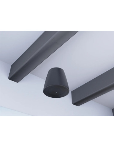 Bose DM10P-SUB Negro | Subwoofer Colgante 10″ Pasivo | 101dB