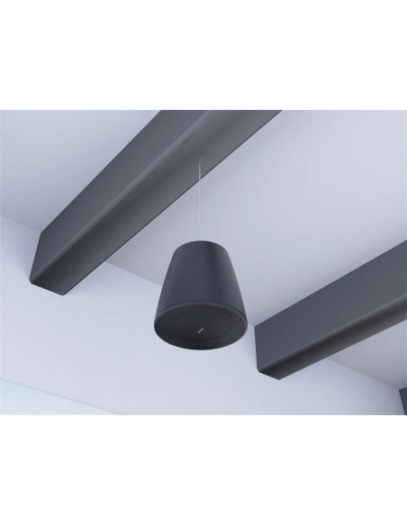 Bose DM10P-SUB Negro | Subwoofer Colgante 10″ Pasivo | 101dB