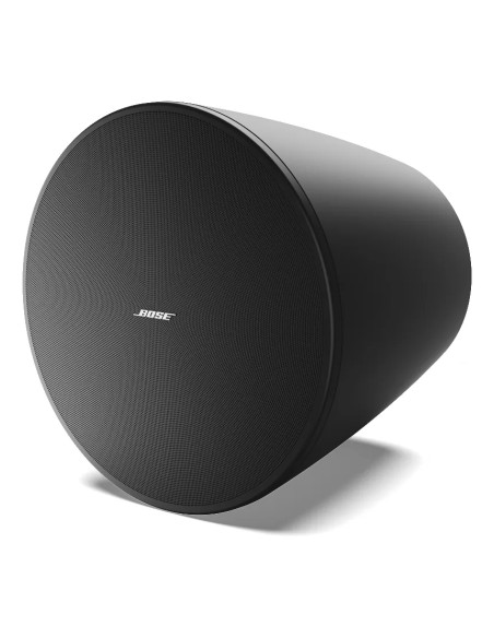 Bose DM10P-SUB Negro | Subwoofer Colgante 10″ Pasivo | 101dB