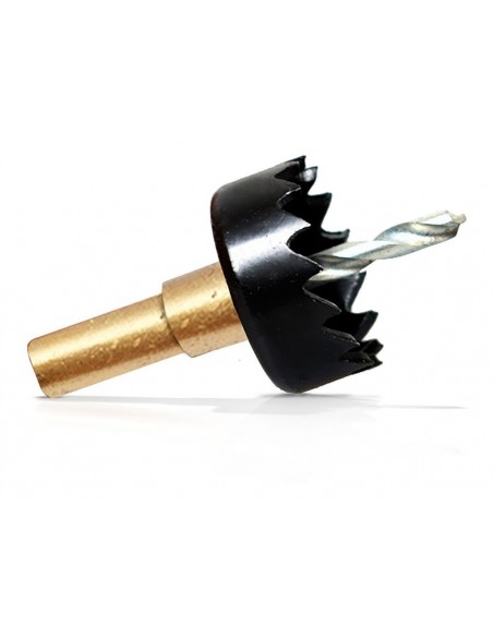 Camara Trasera B52 CCD-384IR